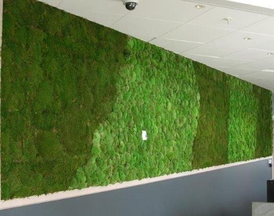 Green Walls